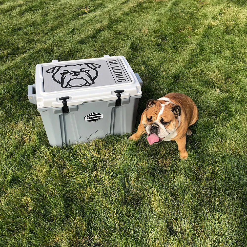 Dachshund Name - AR/B