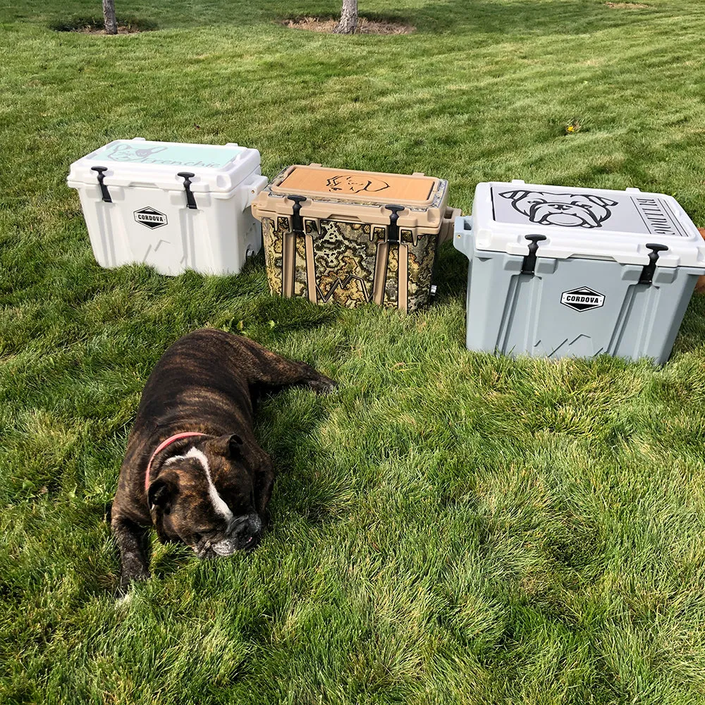 Dachshund Name - AR/B