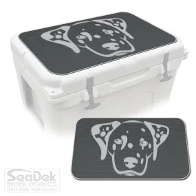 Dalmatian - DG/SG
