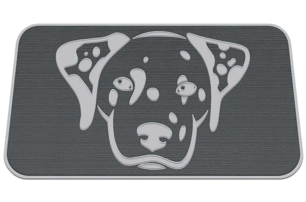 Dalmatian - DG/SG