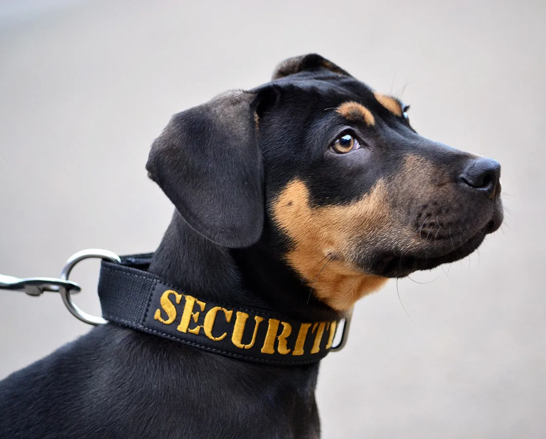 Dog Collar - SUPATUFF® SECURITY Slimline