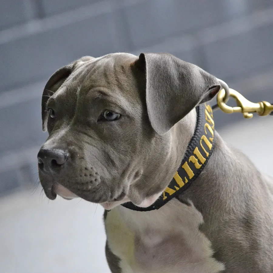 Dog Collar - SUPATUFF® SECURITY Slimline