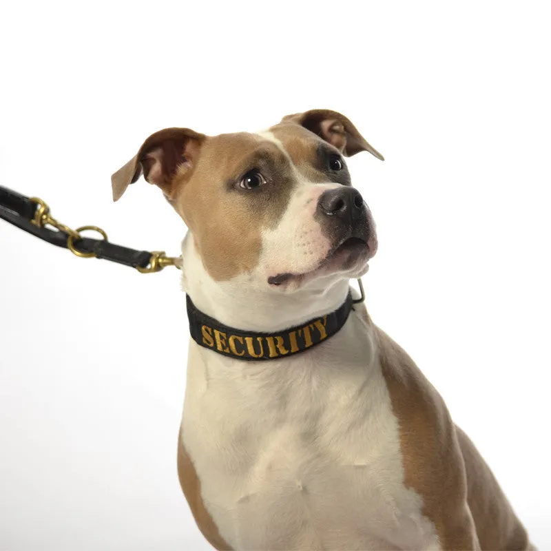 Dog Collar - SUPATUFF® SECURITY Slimline