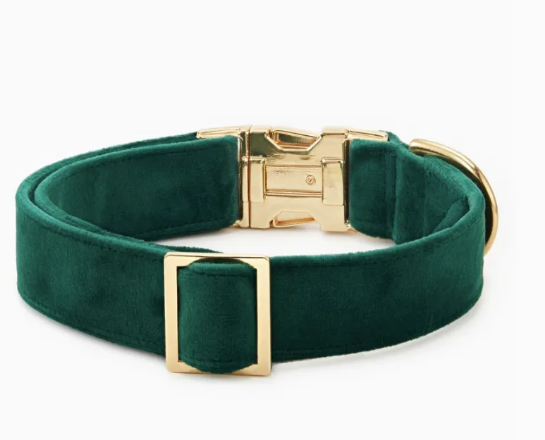 Forest Green Velet Dog Collar