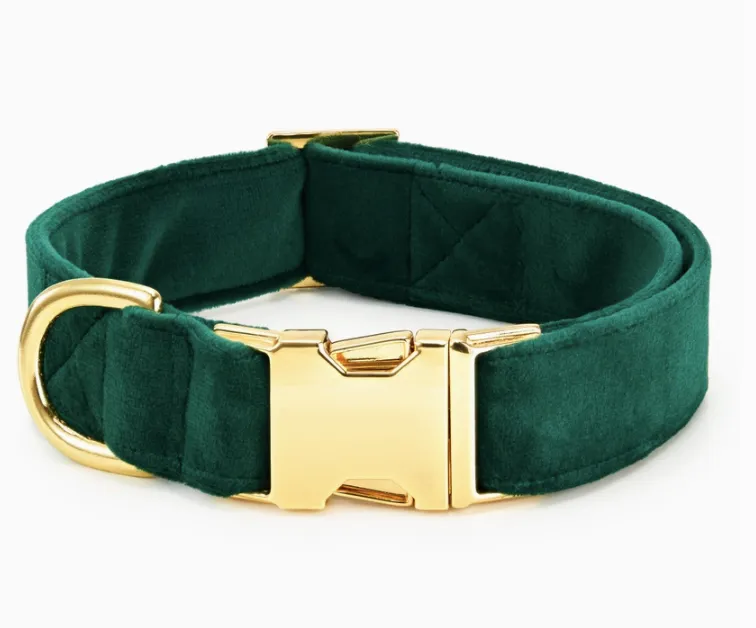 Forest Green Velet Dog Collar