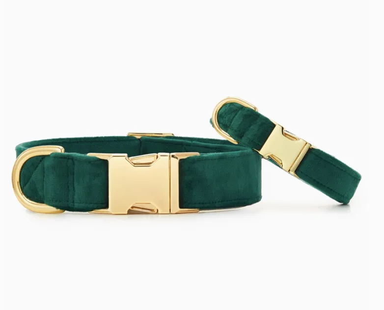 Forest Green Velet Dog Collar