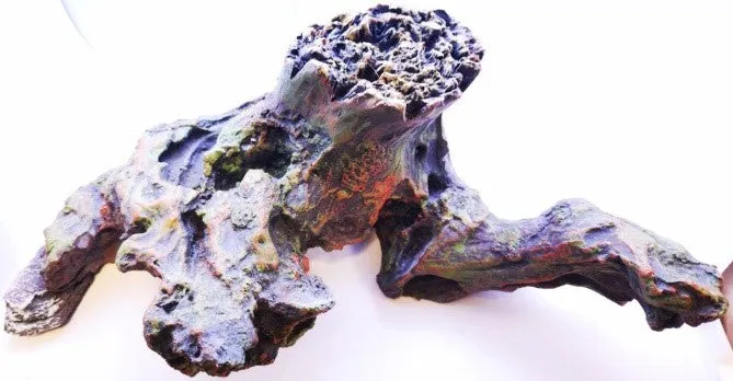 FOREST ROOT AQUARIUM DECOR