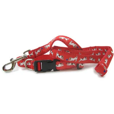 Jack Russell Terrier Dog Collar or Leash