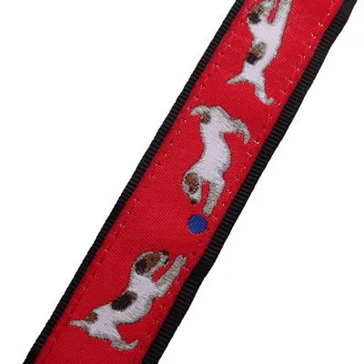 Jack Russell Terrier Dog Collar or Leash
