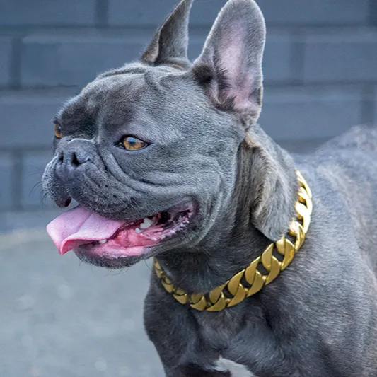 Rogue Gold Chain 23mm
