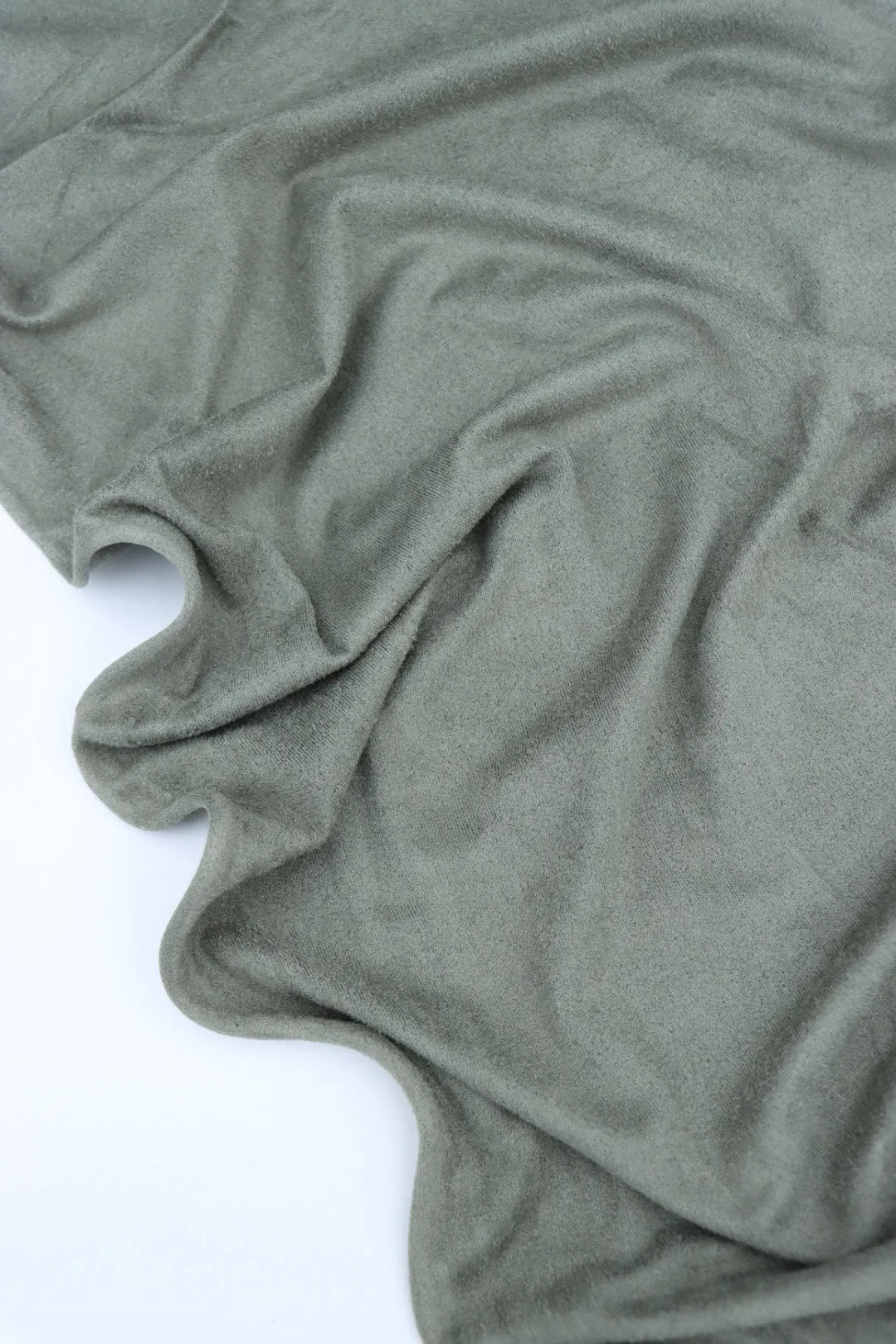 Smokey Sage Microsuede Jersey Knit