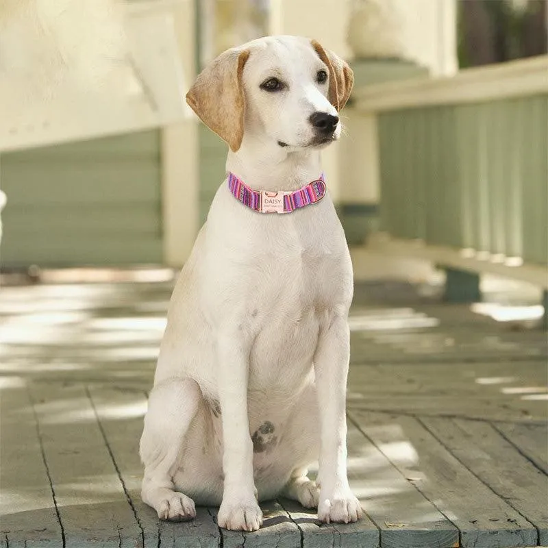 Stripe Modern Adjustable Personalize Dog Collar