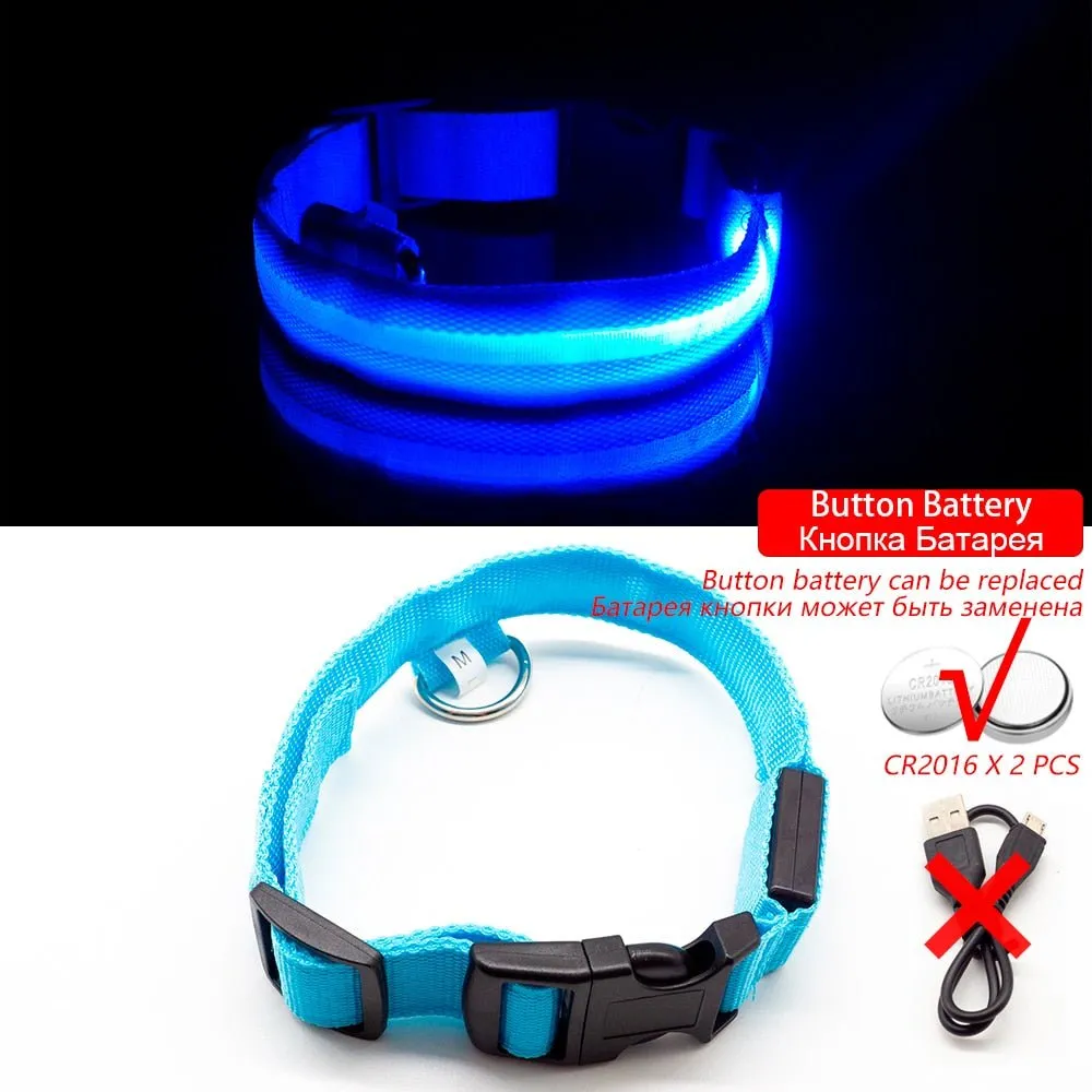 USB Charging Led Dog Collar-Boost Visibility and Safety - Never Lose Sight of Your Pet Again
