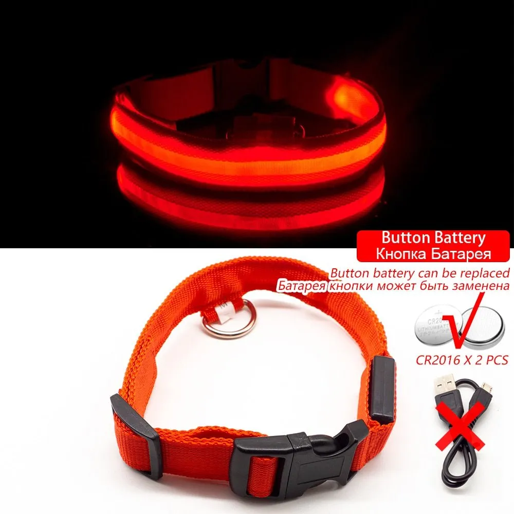 USB Charging Led Dog Collar-Boost Visibility and Safety - Never Lose Sight of Your Pet Again